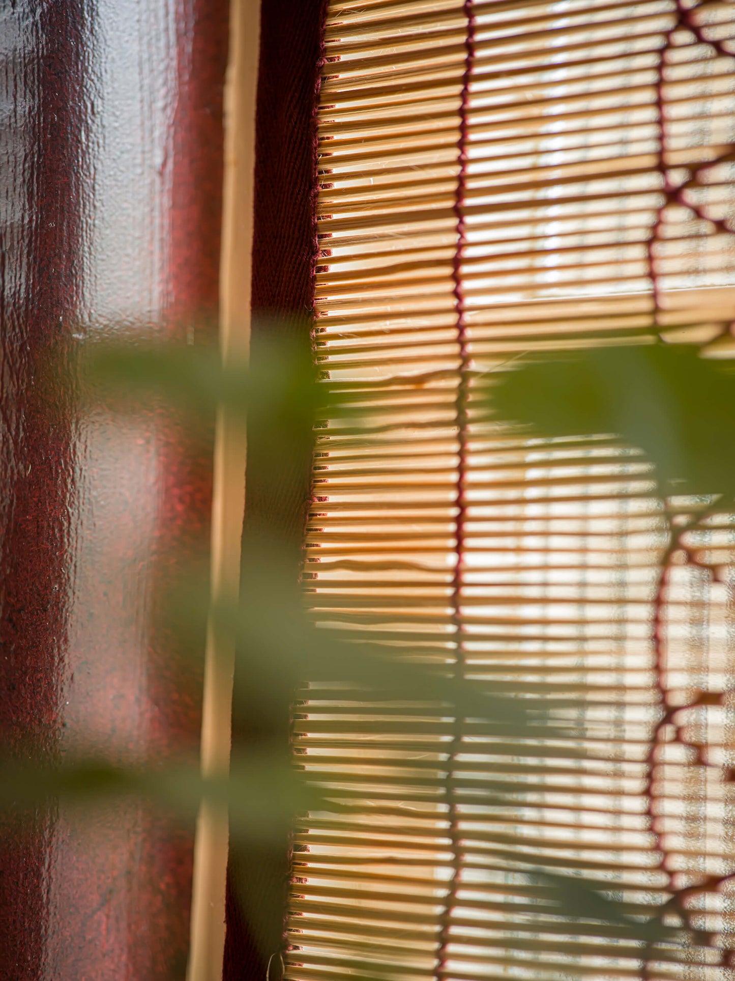 Chik Blinds - Coloured
